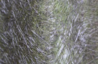 Trewethern fibreglass roof work