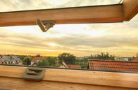rated Trewethern roof window companies